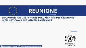 Réunion de la Commission des affaires européennes, des relations internationales et méditerranéennes 