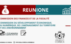 Commission du Développement Economique, du Numérique, de l’Aménagement du Territoire et de l’Environnement et la Commission des finances et de la fiscalité