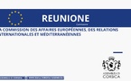 Réunion de la Commission des affaires européennes, des relations internationales et méditerranéennes 