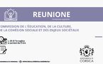 Commission de l’Education, de la Culture, de la Cohésion Sociale et des Enjeux Sociétaux 