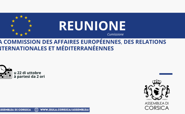 Réunion de la Commission des affaires européennes, des relations internationales et méditerranéennes 