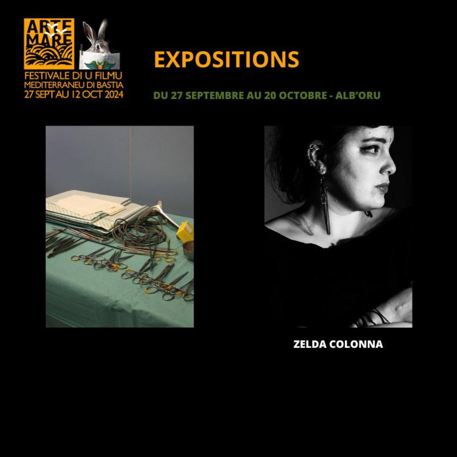 Festival Arte Mare / Exposition / Zelda Colonna - Centre Culturel Alb'Oru - Bastia 