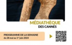 Pixel Art "Mythologie romaine" - Médiathèque des Cannes - Aiacciu