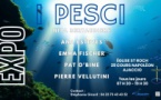 Exposition collective : I Pesci - Eglise Saint Roch - Aiacciu