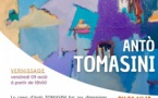 Exposition : Antò Tomasini - Galerie Archipel / Citadelle Miollis - Aiacciu