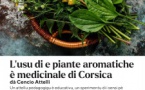 Atelier de découverte des plantes aromatiques et médicinales de corse - Mediateca Centru Cità - Bastia 