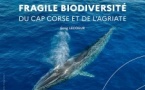 Exposition "Fragile biodiversité du Cap Corse et de l'Agriate" par Greg Lecoeur - Casa di e Scenze - Bastia