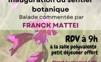 Sortie botanique animée par Franck Mattei proposée par le CPIE Centre Corse - A Rinascita - Tallone