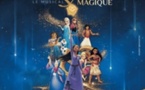 "Asha et l'étoile magique, le musical" - Salle de spectacle ATACC International - Sarrula è Carcupinu