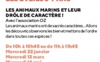 Atelier Eveils 3/7 ans / "Les animaux marins et leur drôle de caractère !" - Casa di e Scenze - Bastia