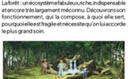 Atelier Hello Maestro Academy / "Les forêts du Monde"  - Casa di e Scenze - Bastia