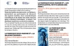 Atelier : La fabrique sous-marine / "Les méduses !"- Casa di e Scenze - Bastia