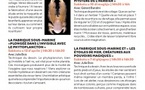 Atelier : La fabrique sous-marine / "Les étoiles de mer créatures aux pouvoirs magiques"- Casa di e Scenze - Bastia