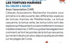 Atelier parent-enfant "Les tortues marines"- Casa di e Scenze - Bastia