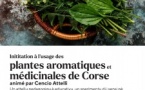 Atelier de découverte des plantes aromatiques et médicinales de corse - Mediateca Centru Cità - Bastia 