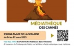 Création de poème (haiku) volcanique en 3 étapes - Médiathèque des Cannes - Aiacciu