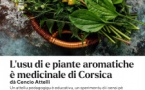 Atelier de découverte des plantes de Corse - Médiathèque Barberine Duriani - Bastia