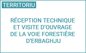 Réception technique et visite d’ouvrage de la voie forestière d’Erbaghju