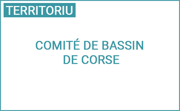 Réunion du Comité de bassin de Corse sur le programme d’intervention 2025-2030 de l’agence de l’eau Rhône Méditerranée Corse