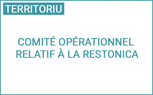 4ème réunion du Comité opérationnel relatif à la Restonica : bilan de la période estivale 2024 et perspectives pour 2025