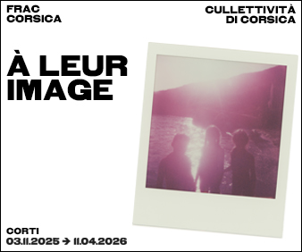 https://www.frac.corsica/fr/expositions/a-leur-image